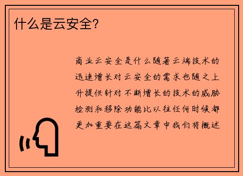 什么是云安全？